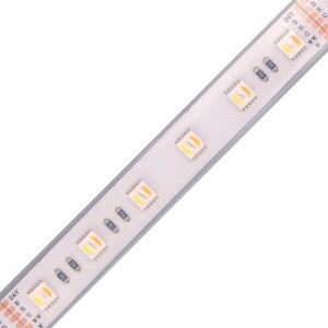 5050 60leds/m WRGBWW LED Dải LED